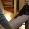 Thumbnail of related posts 199