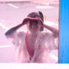 Thumbnail of related posts 078