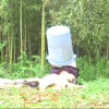 Thumbnail of related posts 149